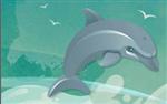 Dolphin 